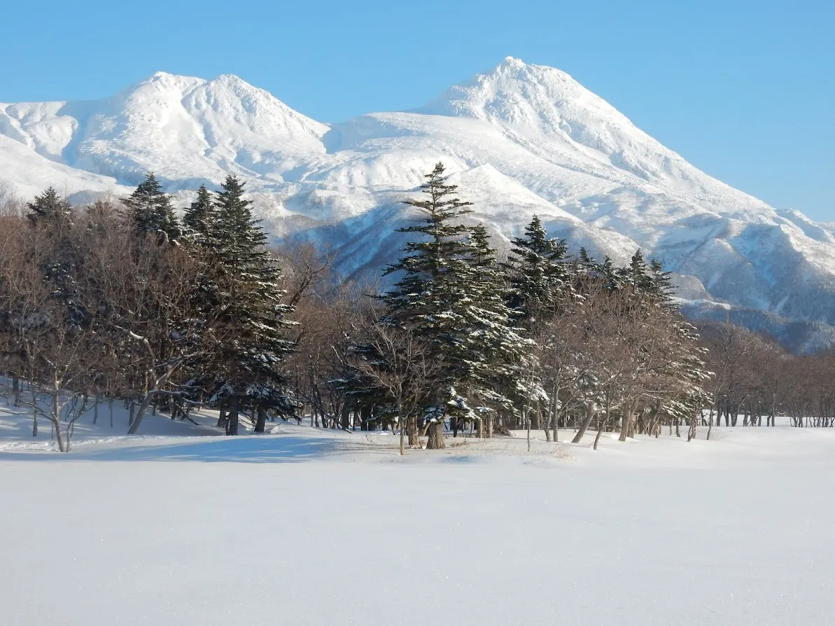 厳冬期の知床五湖雪景色